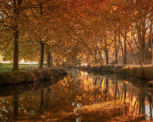 Persona realizando estiramientos suaves en la sala de su casa
